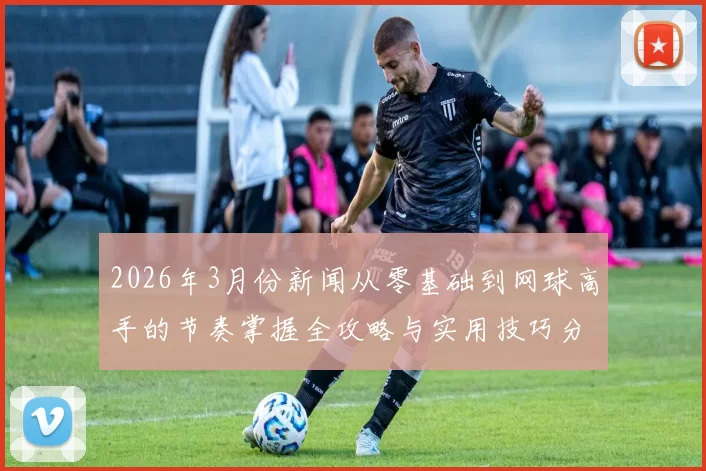 2026年3月份新闻从零基础到网球高手的节奏掌握全攻略与实用技巧分享